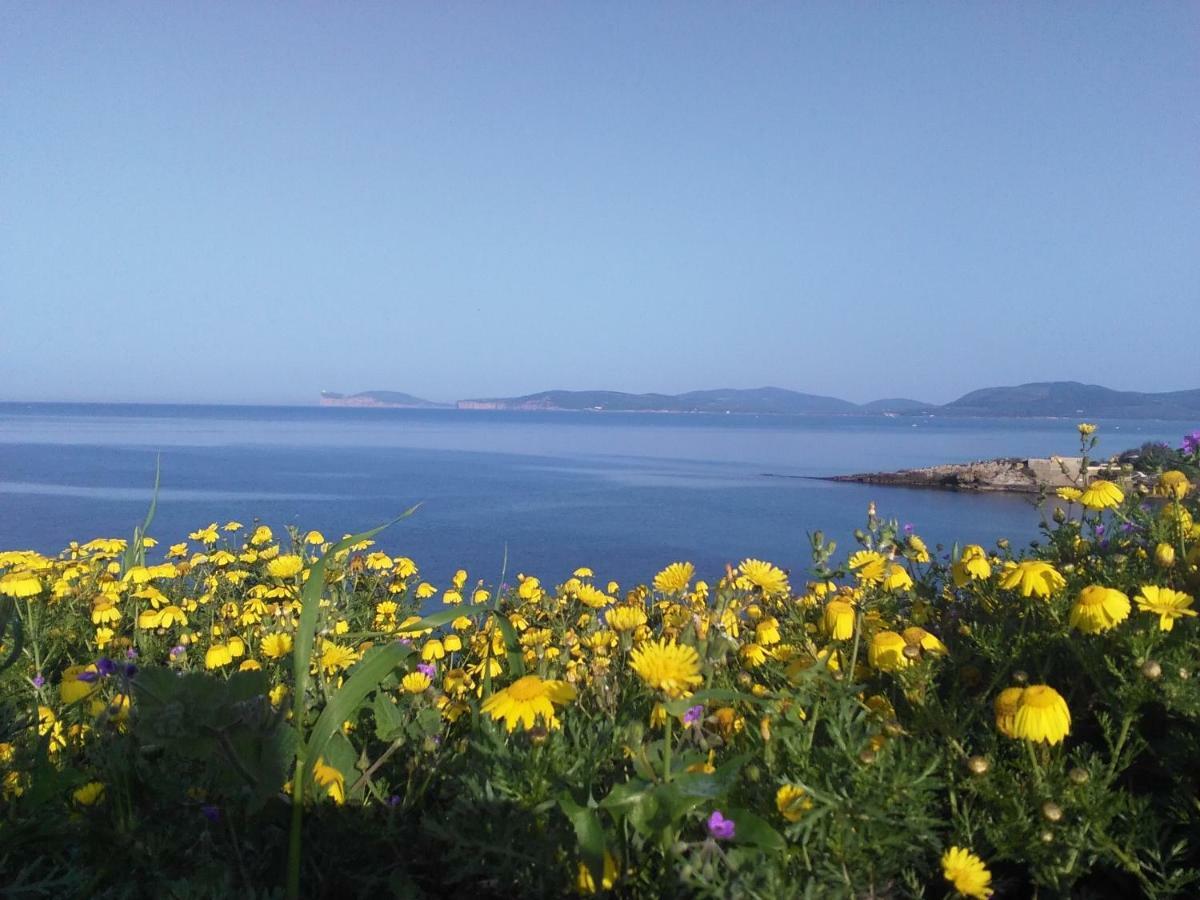 Giramondo Sardegna Affittacamere Alghero Bagian luar foto